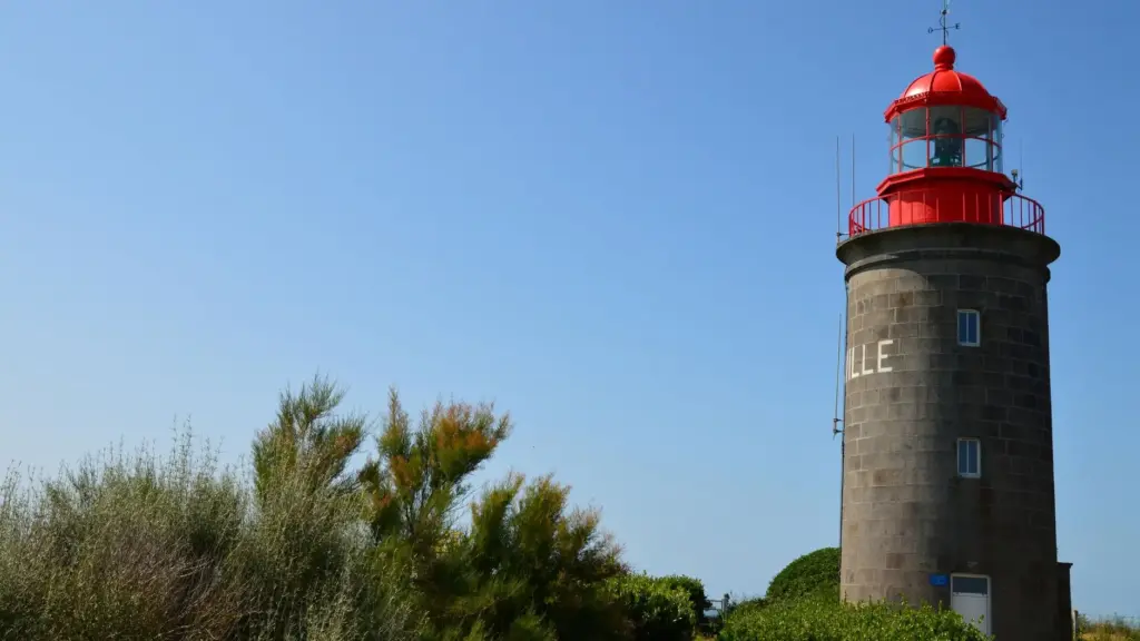 waarom vlaamse stripverhalen een internationale renaissance beleven